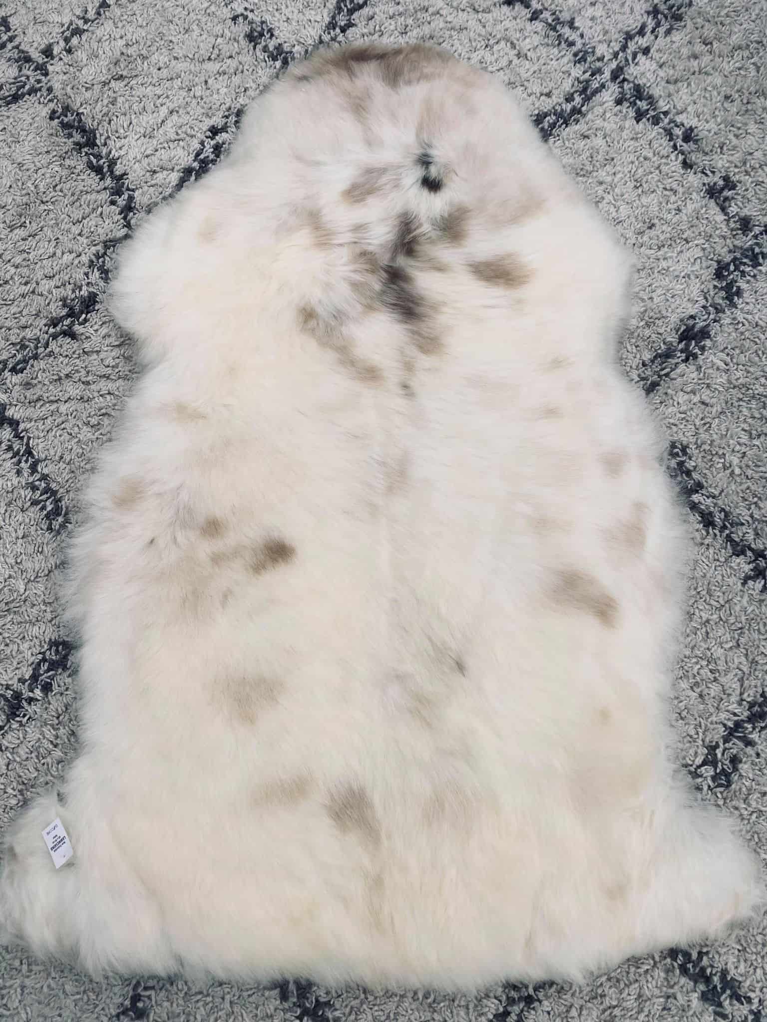 Miniaturebillede 6